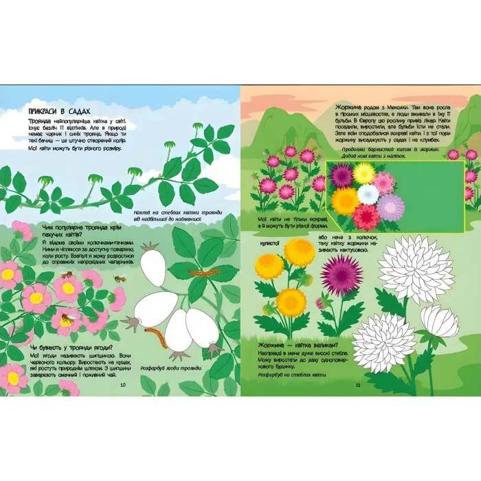 Розвивальні зошити Рожева книжка про квіти