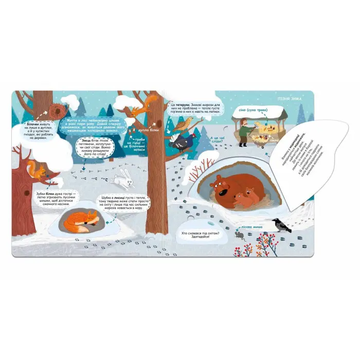 Сезонні зміни у лісі