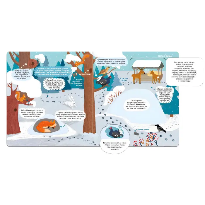 Сезонні зміни у лісі