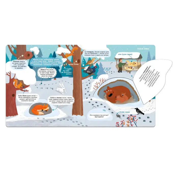 Сезонні зміни у лісі