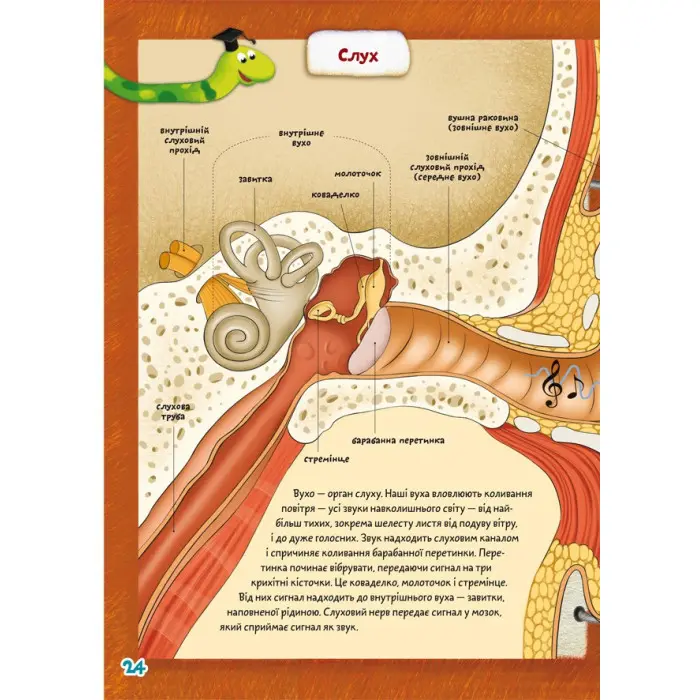 Школа чомучки. Тіло. 55 розвивальних наліпок