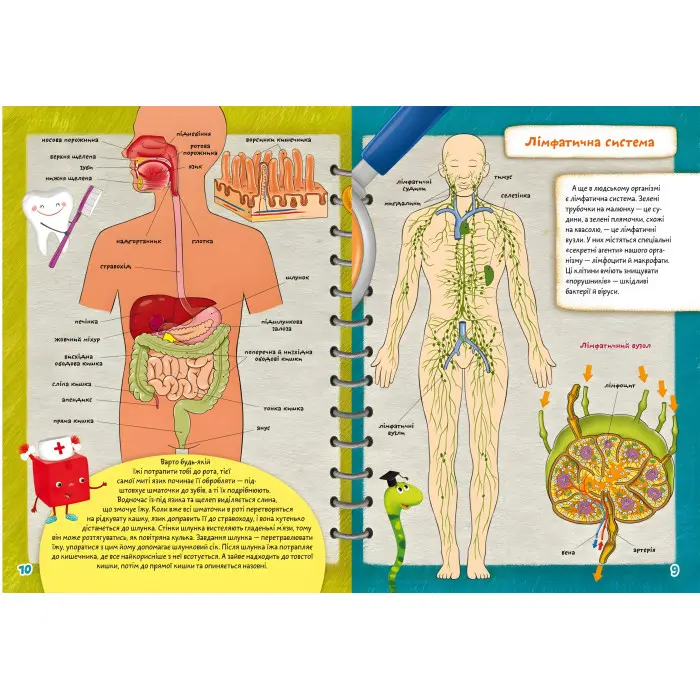 Школа чомучки. Тіло. 55 розвивальних наліпок