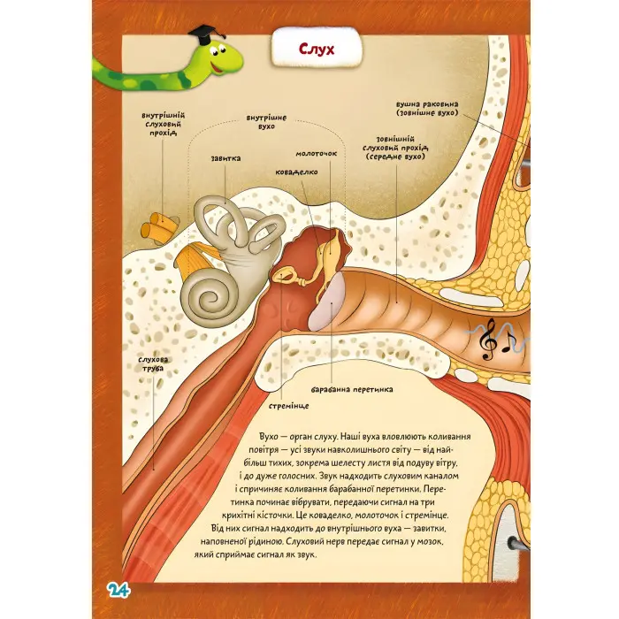 Школа чомучки. Тіло. 55 розвивальних наліпок