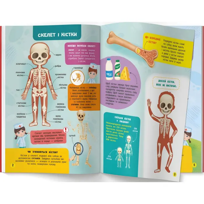 Школа сучасного чомусика. Моє тіло. 100 розвивальних наліпок (9786175474303)