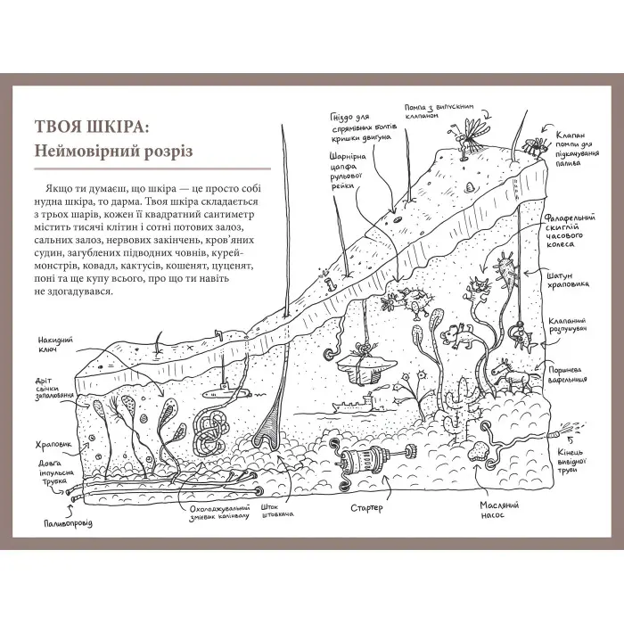 Що це за орган? Дурнуватий довідник з анатомії твого тіла