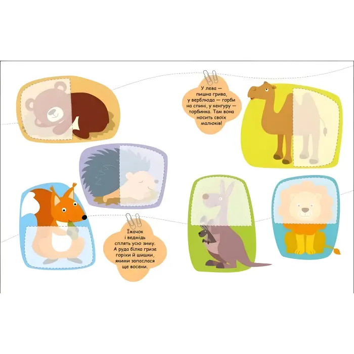 Шукаємо половинки Тварини