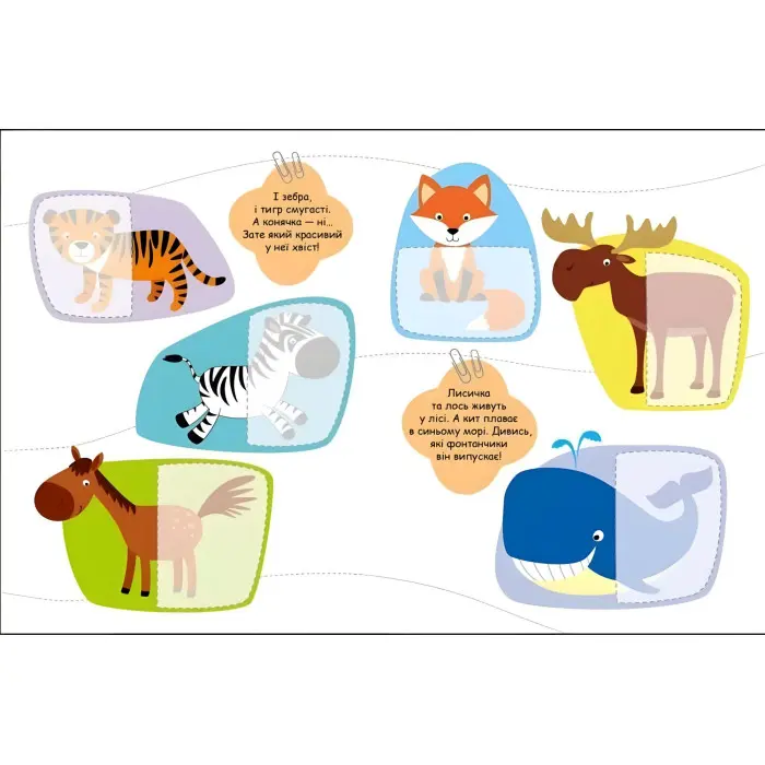 Шукаємо половинки Тварини