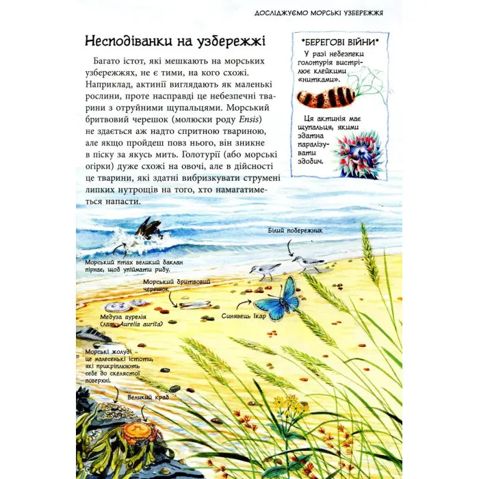 Стежками природи. Океанічні й морські узбережжя