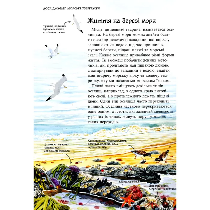 Стежками природи. Океанічні й морські узбережжя