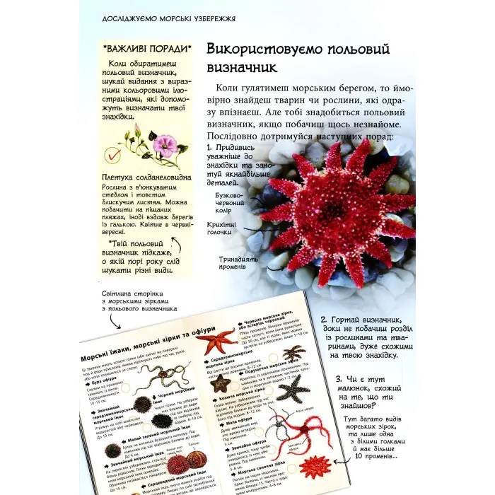 Стежками природи. Океанічні й морські узбережжя
