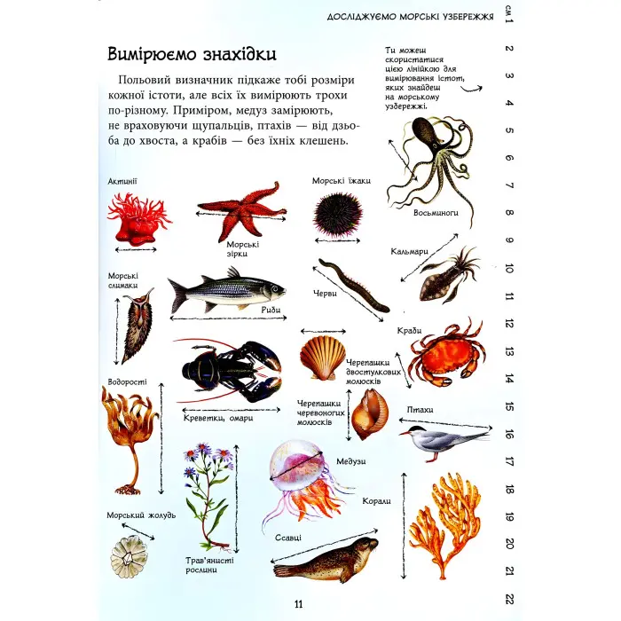 Стежками природи. Океанічні й морські узбережжя