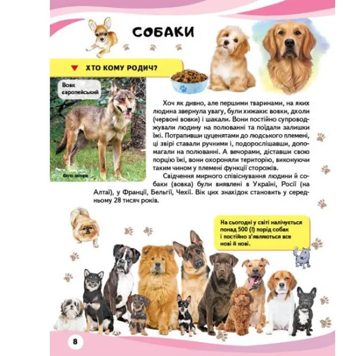 Свійськи тварини та їхні дикі родичі