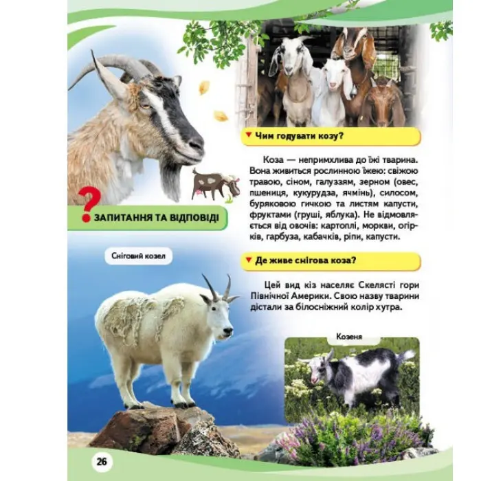 Свійськи тварини та їхні дикі родичі