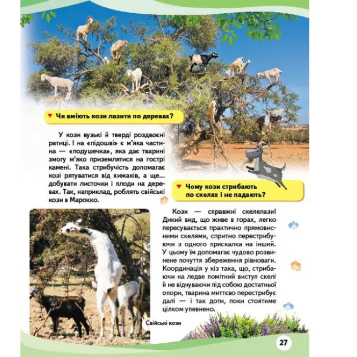 Свійськи тварини та їхні дикі родичі