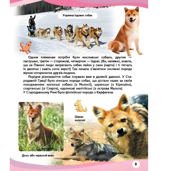 Свійськи тварини та їхні дикі родичі