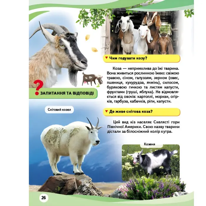 Свійськи тварини та їхні дикі родичі