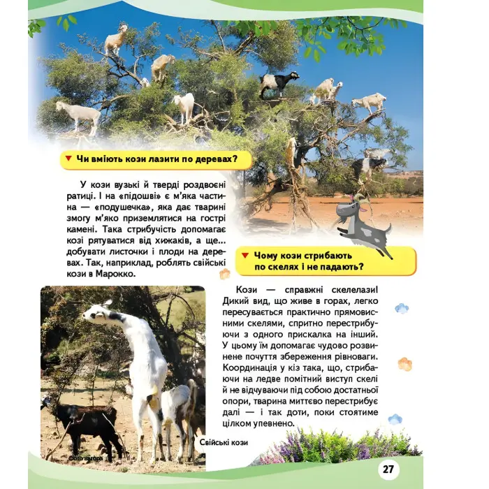 Свійськи тварини та їхні дикі родичі