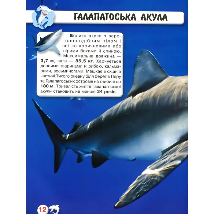 Світ навколо нас. Акули