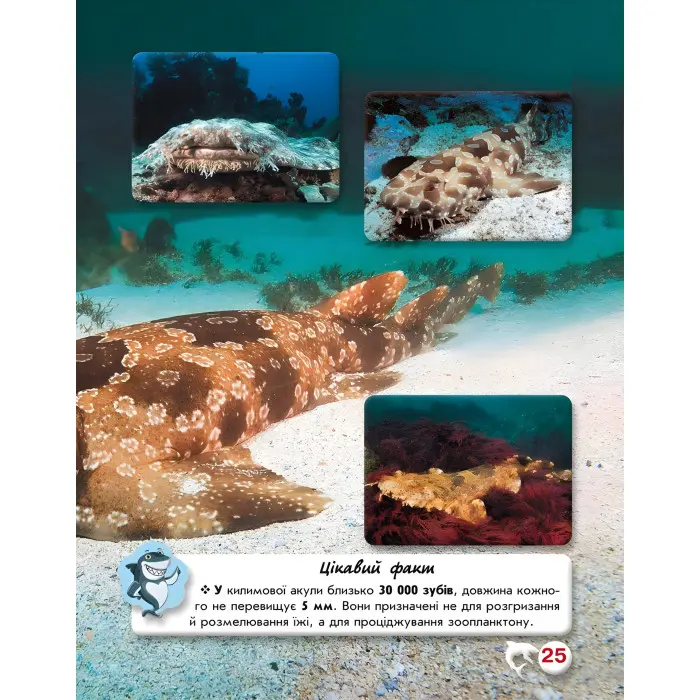 Світ навколо нас. Акули