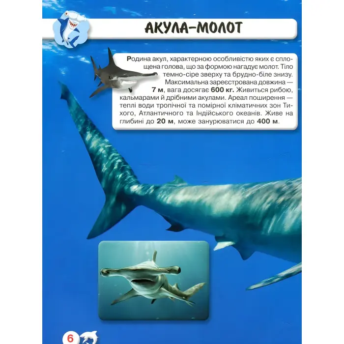 Світ навколо нас. Акули