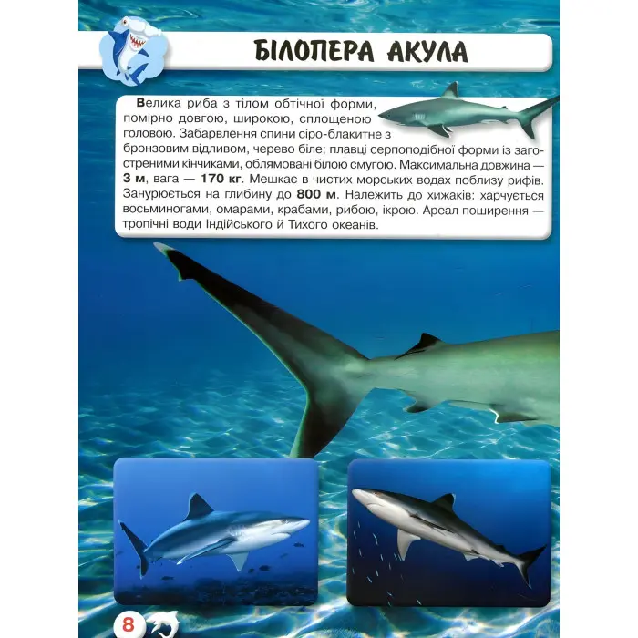 Світ навколо нас. Акули