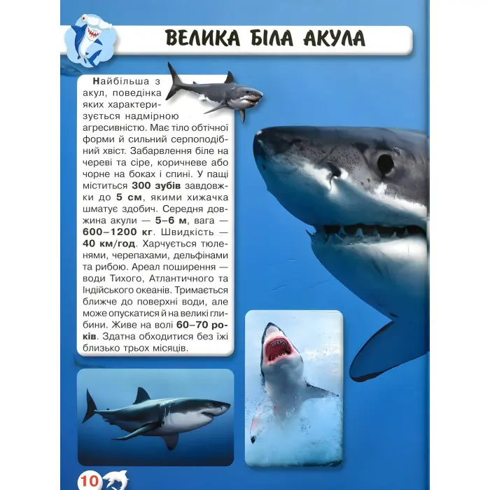 Світ навколо нас. Акули