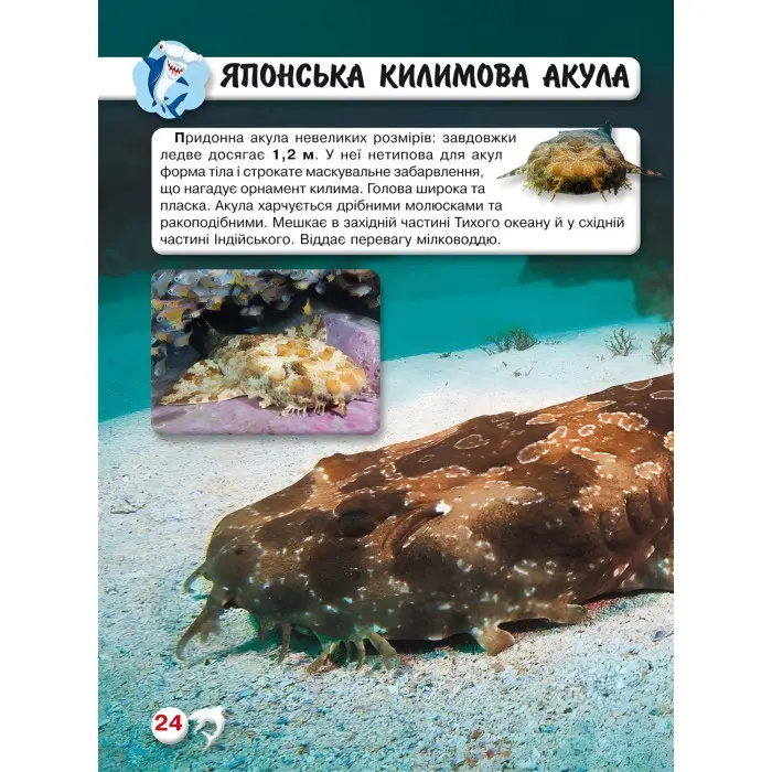 Світ навколо нас. Акули