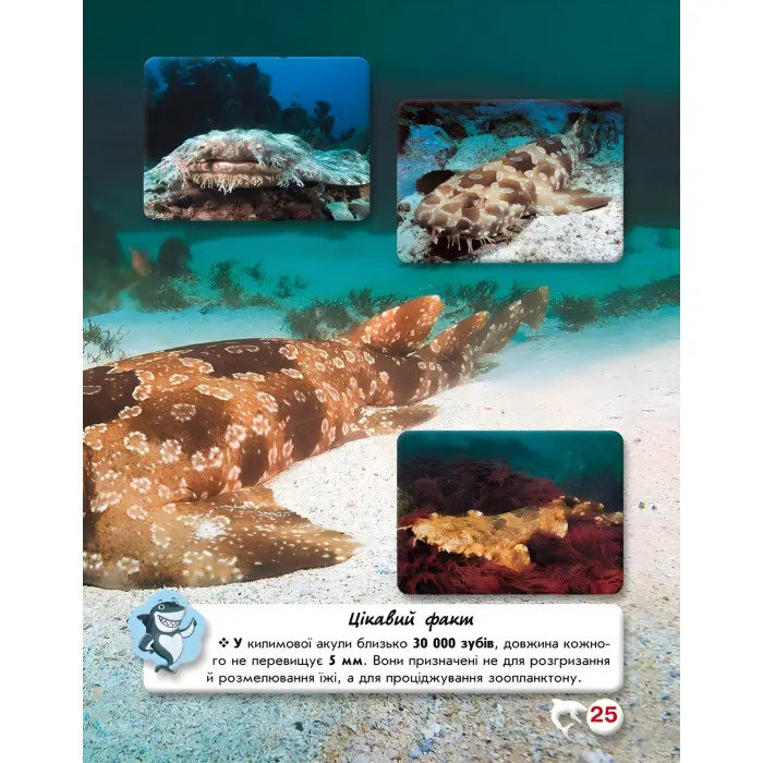 Світ навколо нас. Акули