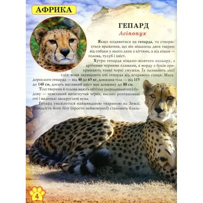 Світ навколо нас. Дикі тварини