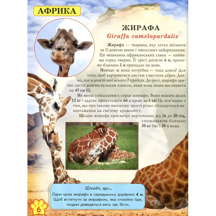 Світ навколо нас. Дикі тварини