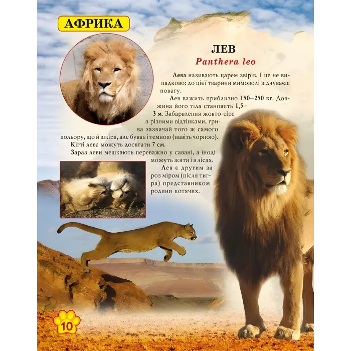 Світ навколо нас. Дикі тварини