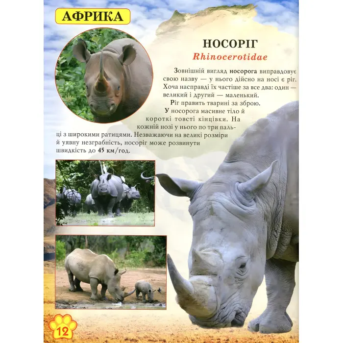 Світ навколо нас. Дикі тварини