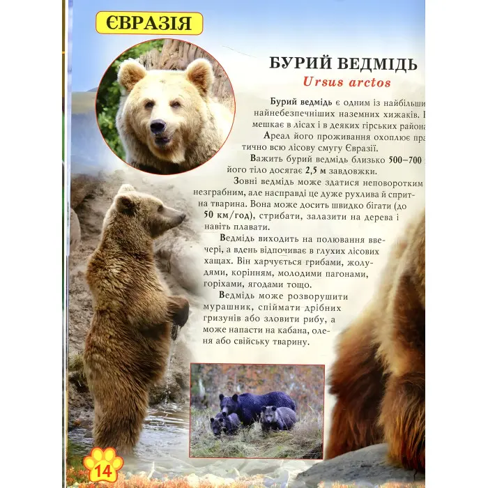 Світ навколо нас. Дикі тварини