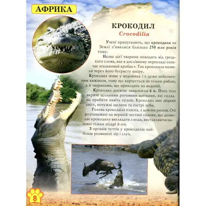 Світ навколо нас. Дикі тварини
