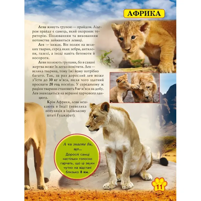 Світ навколо нас. Дикі тварини