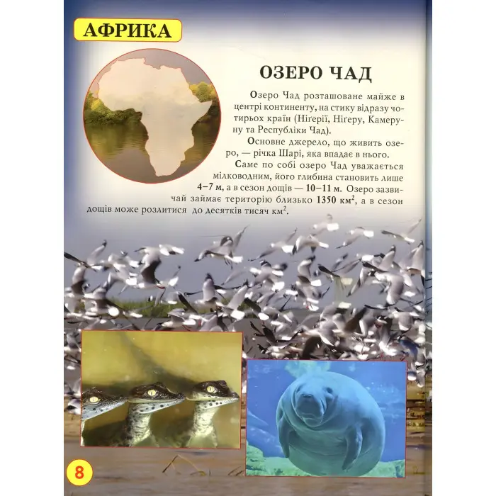 Світ навколо нас. Дива природи