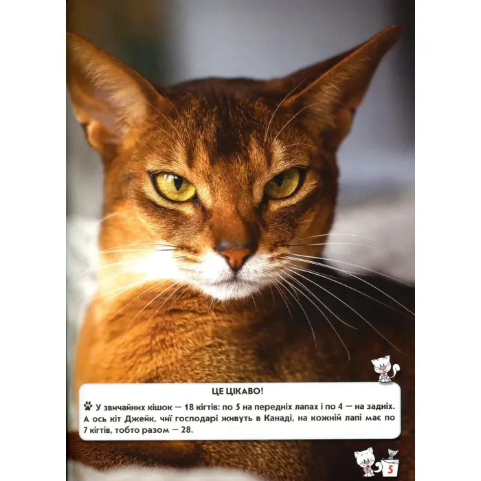 Світ навколо нас. Кішки