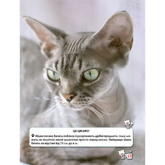 Світ навколо нас. Кішки