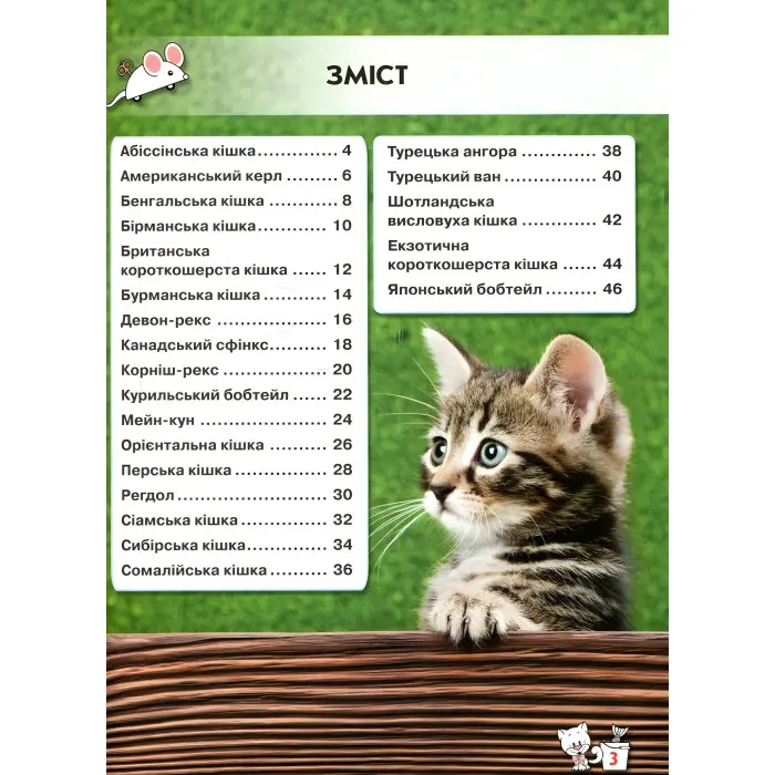 Світ навколо нас. Кішки