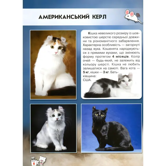 Світ навколо нас. Кішки