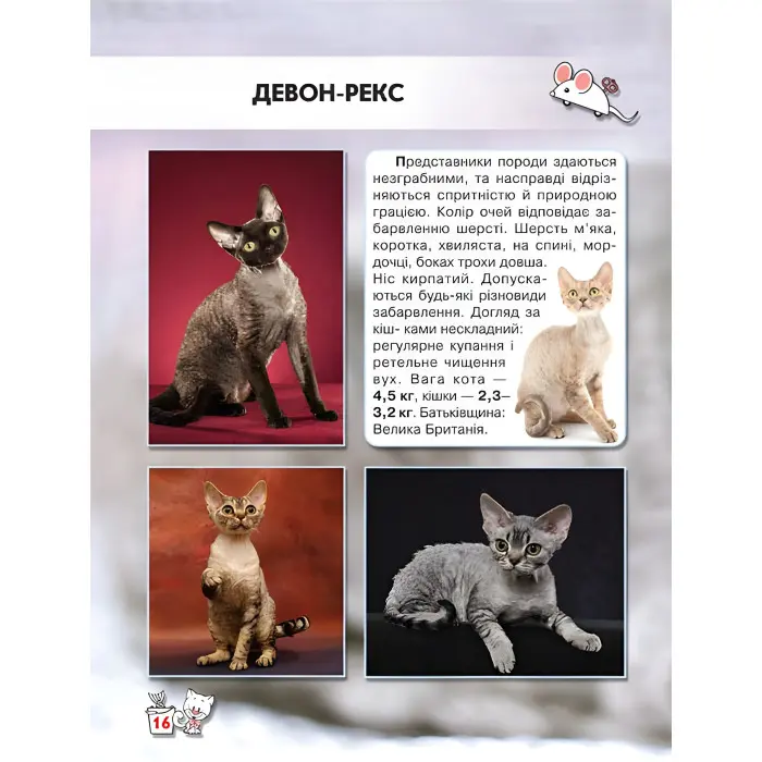 Світ навколо нас. Кішки