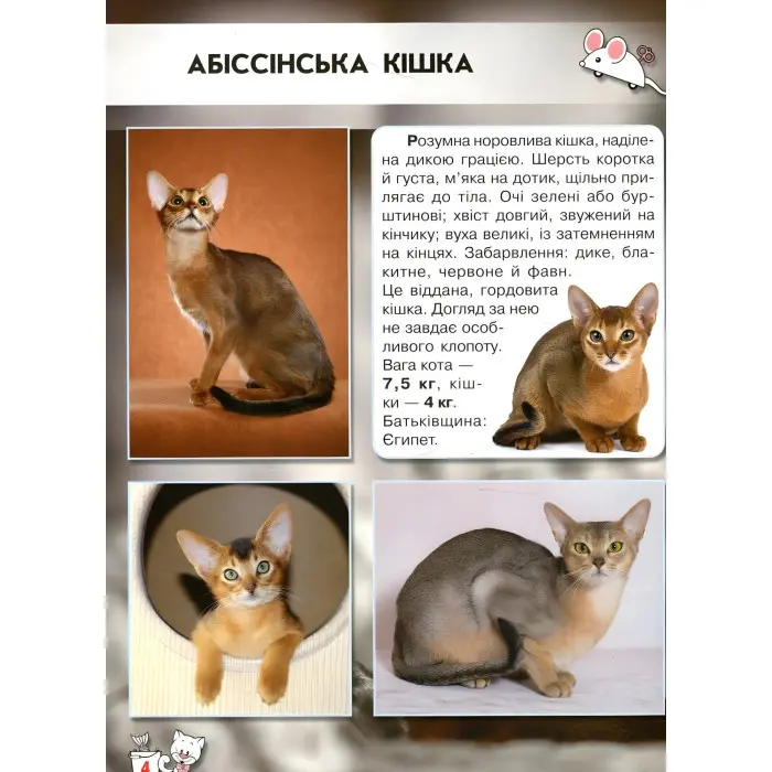 Світ навколо нас. Кішки