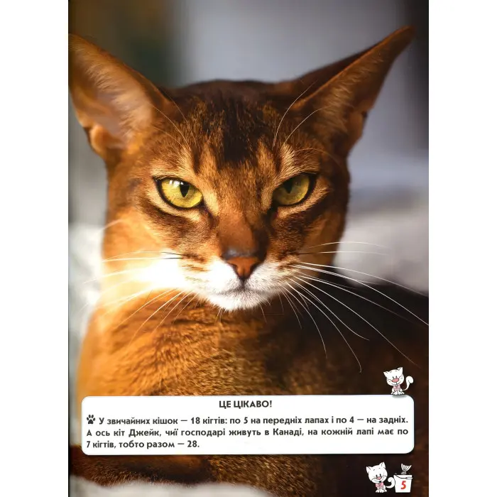Світ навколо нас. Кішки
