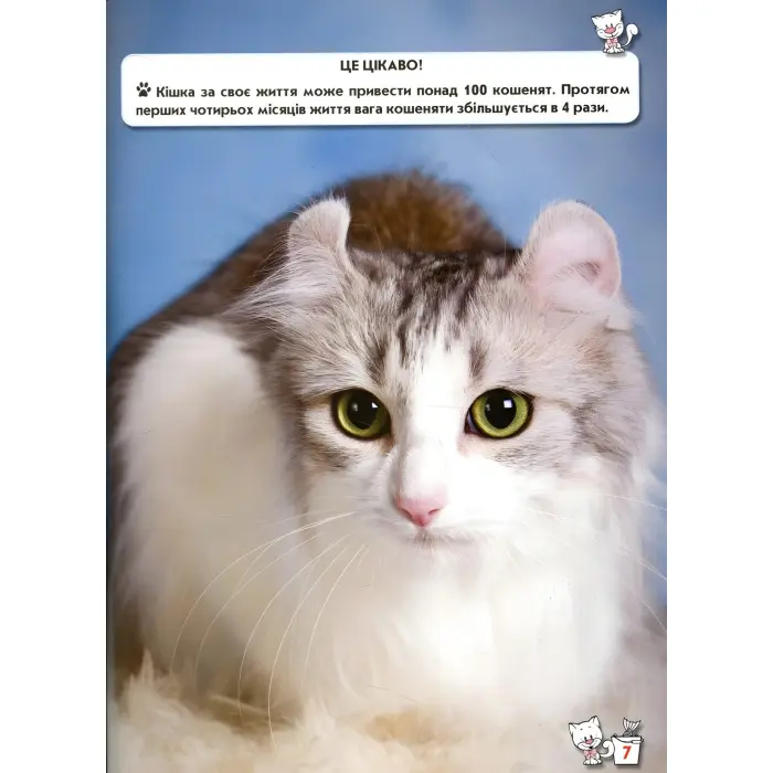 Світ навколо нас. Кішки