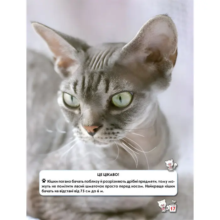 Світ навколо нас. Кішки