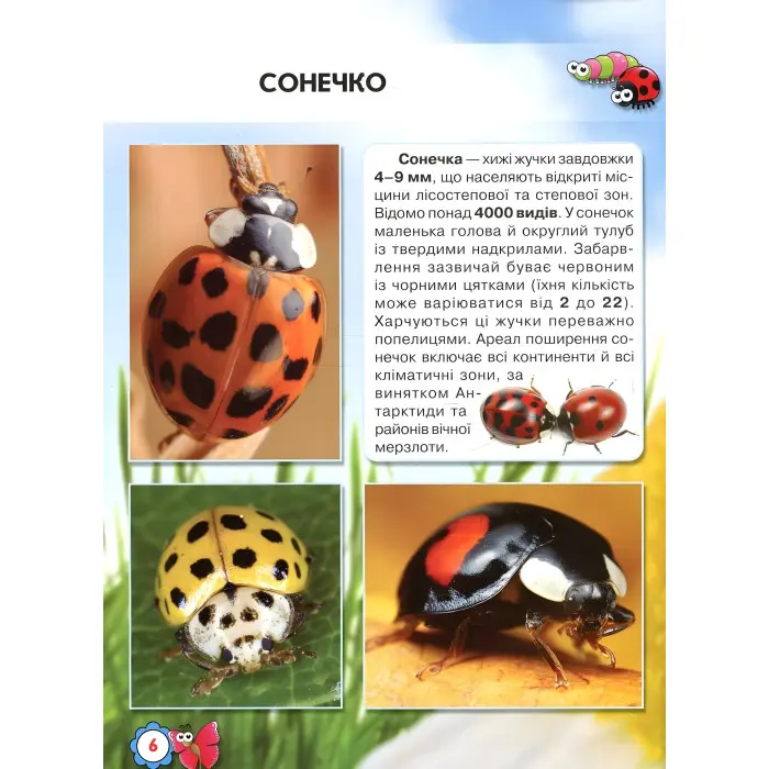 Світ навколо нас. Комахи