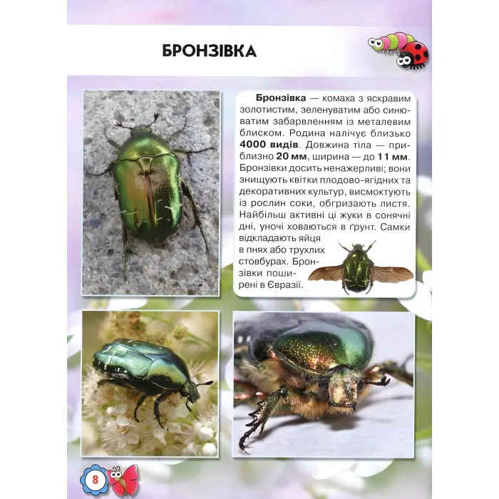 Світ навколо нас. Комахи