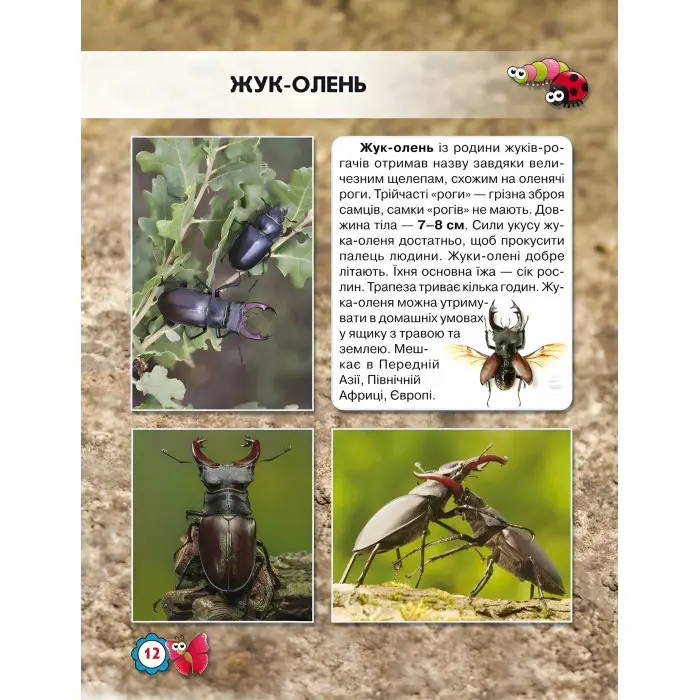 Світ навколо нас. Комахи