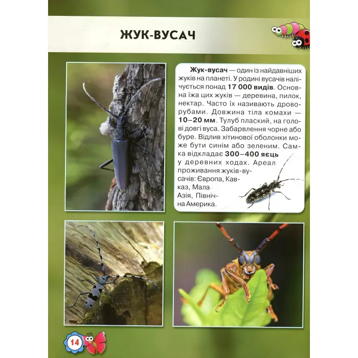 Світ навколо нас. Комахи