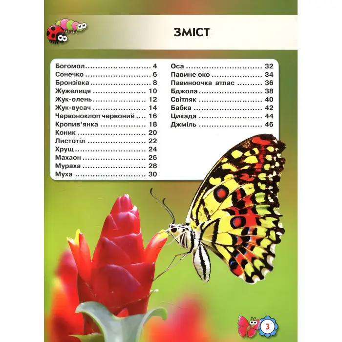 Світ навколо нас. Комахи